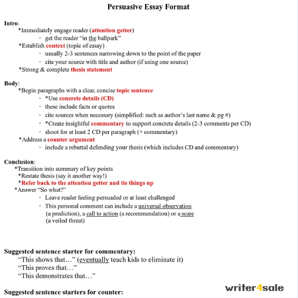 persuasive essay format